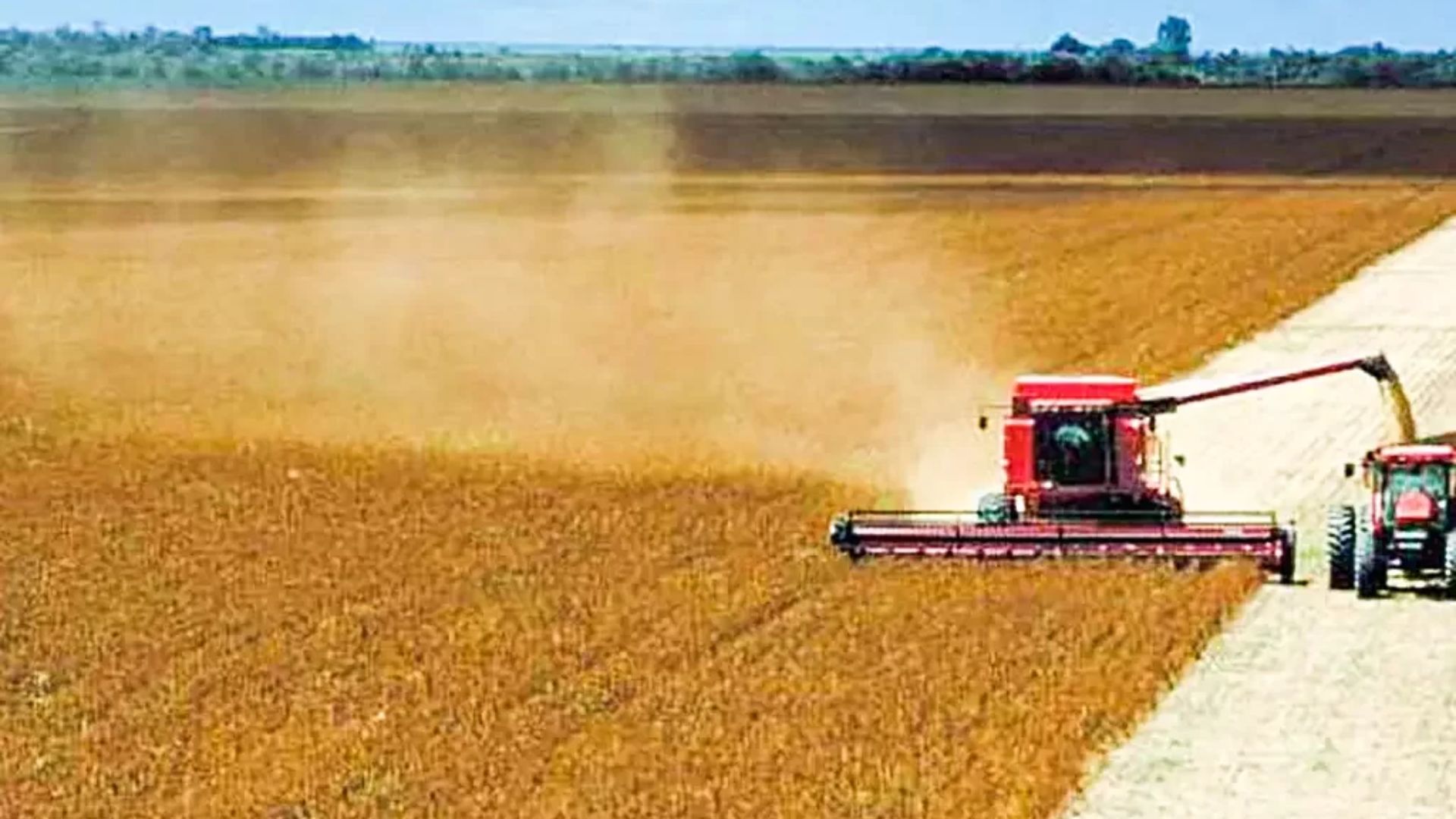 Área Plantada Com Soja No Brasil É Maior Que A Itália