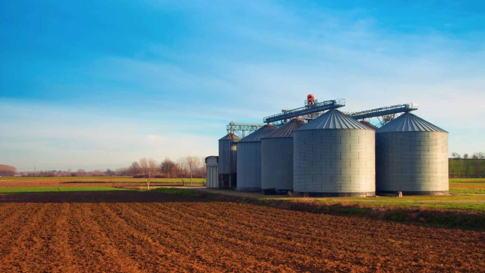 O Raio-X Da Armazenagem Na Agricultura Brasileira