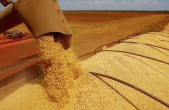 Ipea Revisa Crescimento do PIB agro para 2023 de 11,6% para 13,2%