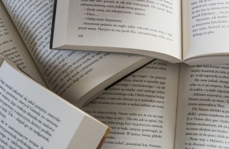 Literatura e Psicanálise, uma Viagem Humana