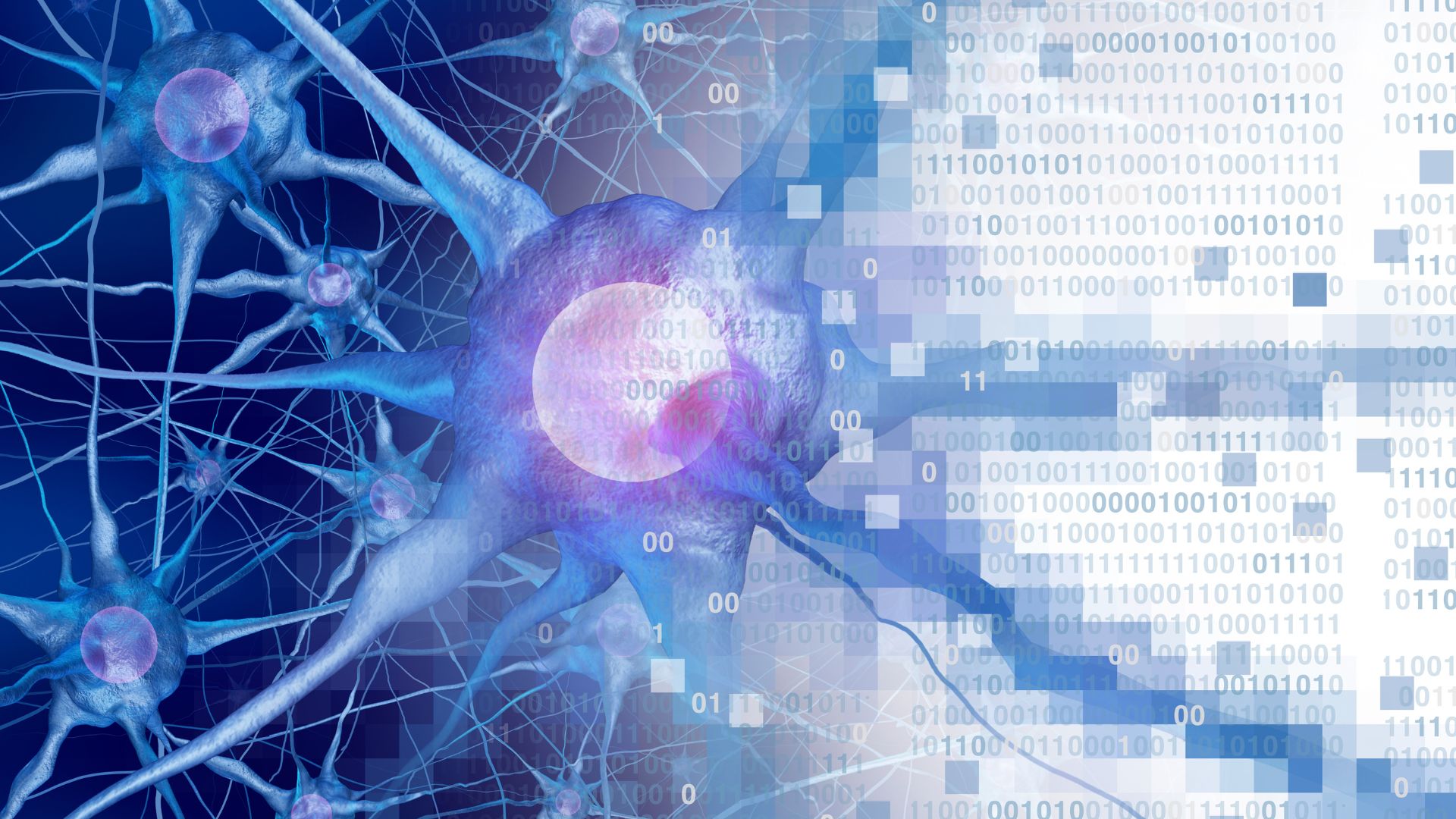 O que Você não Sabia sobre a Relação entre Neurociência e Comportamento