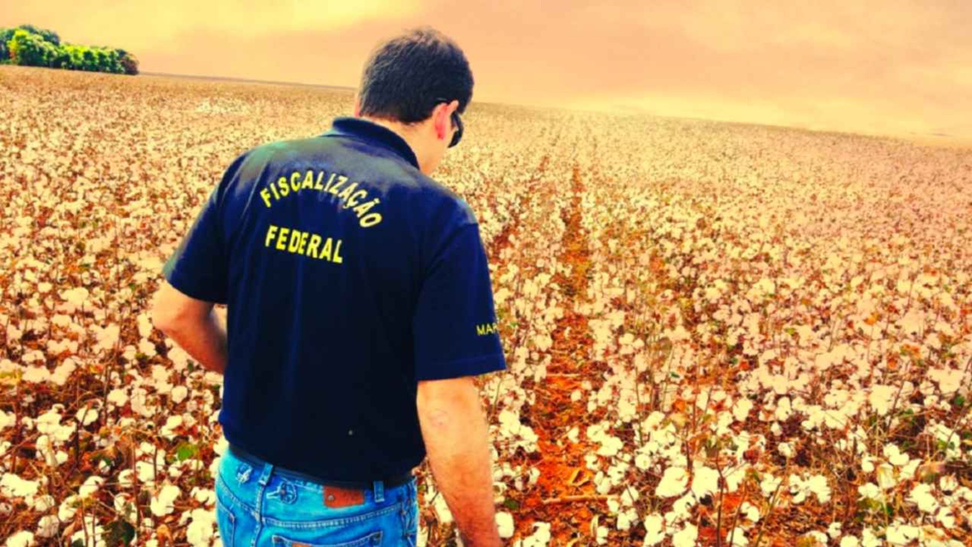 Concurso público no Ministério da Agricultura: são 520 vagas