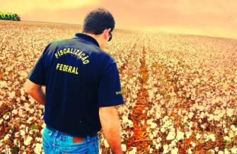 Concurso público no Ministério da Agricultura: são 520 vagas