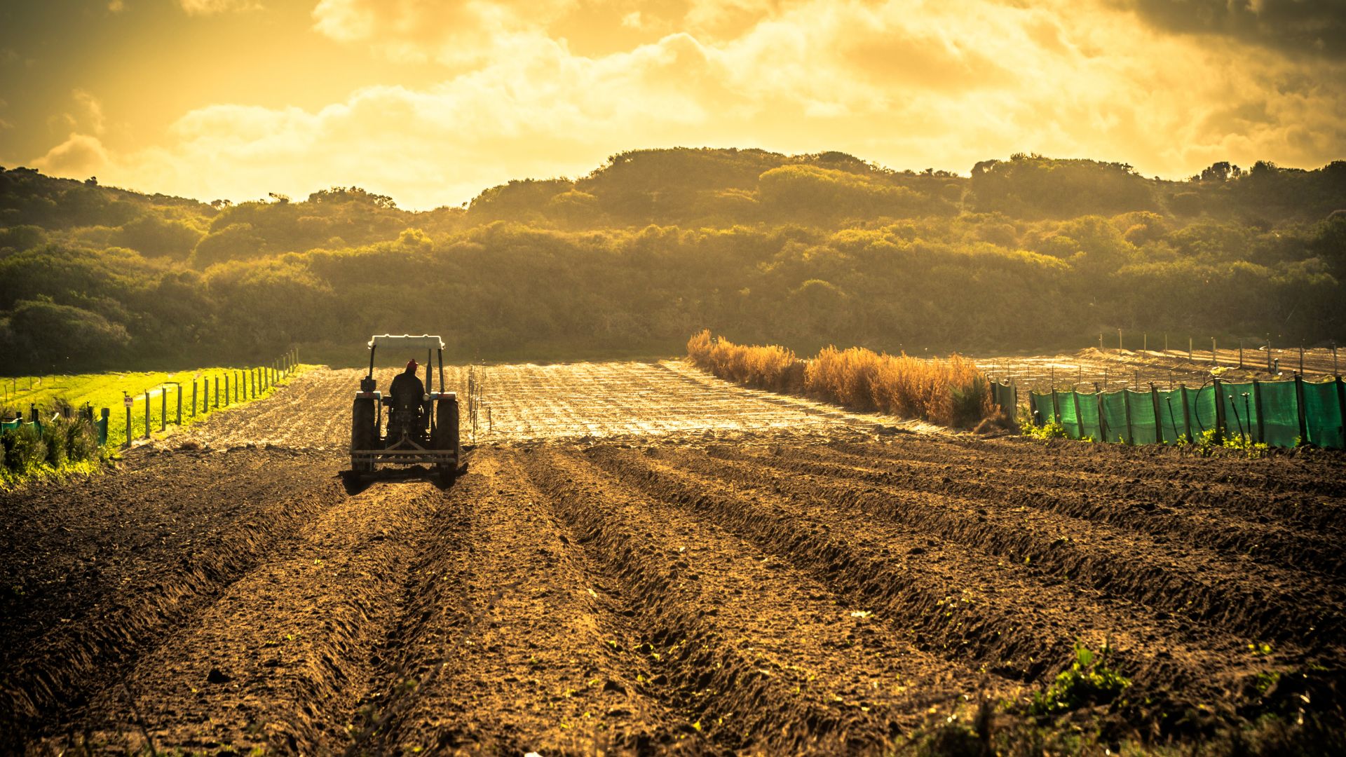 Agricultura