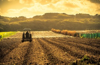 Agricultura