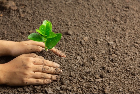 Tecnólogo em Agronegócios