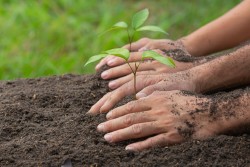 Especialização em Gestão Ambiental