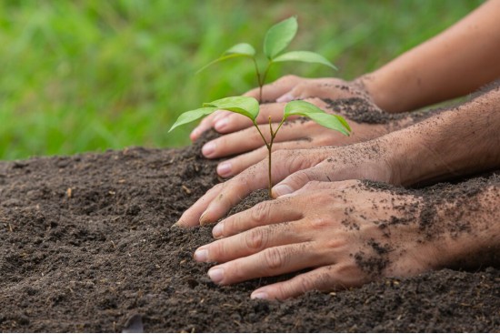 Especialização em Gestão Ambiental