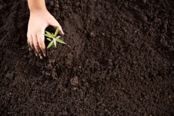 Gestão Educacional e Ambiental