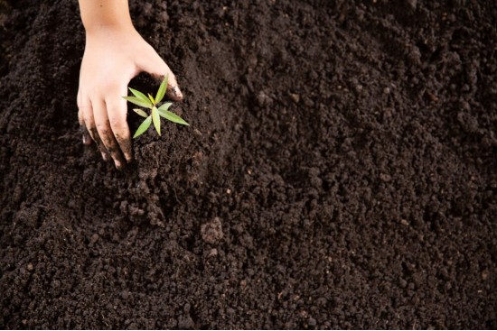 Gestão Educacional e Ambiental