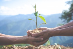 Gestão Educacional e Ambiental