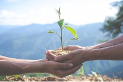 Gestão Educacional e Ambiental