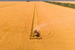 Gestão de Agronegócios