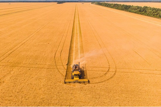 Gestão de Agronegócios