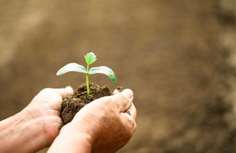 O agronegócio no Brasil: Onde Chegamos e o que Esperar em 2023